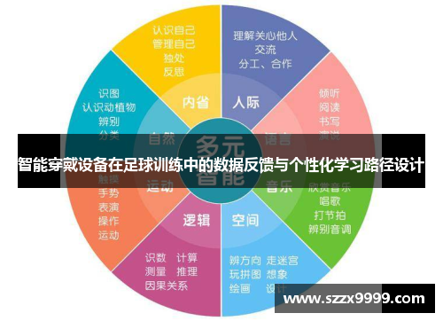 智能穿戴设备在足球训练中的数据反馈与个性化学习路径设计