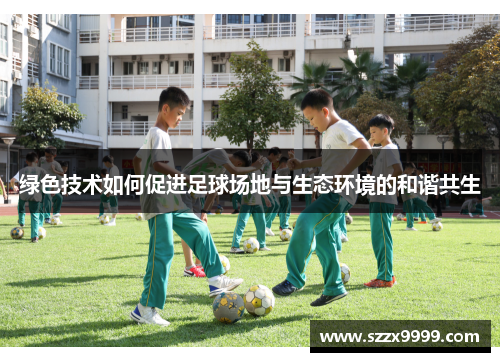 绿色技术如何促进足球场地与生态环境的和谐共生
